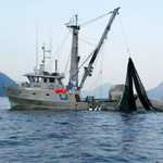contenido de marinero pescador. formacion alfer