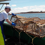 marinero pescador. titulo profesional. formacion alfer