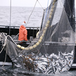 practicas de marinero pescador. formacion alfer