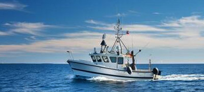 requisitos patron local de pesca. formacion alfer