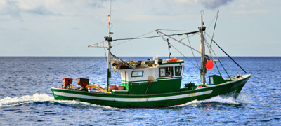 Curso de marinero pescador. formacion alfer